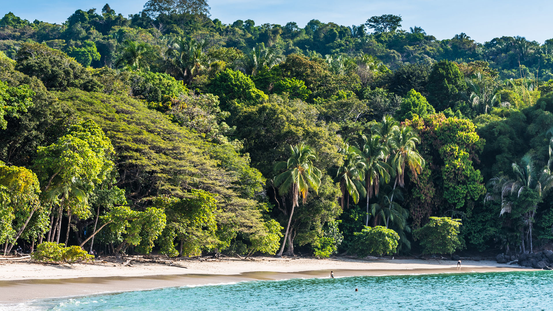 Rainforest to Reef: Adventure in Costa Rica’s Little-Known Zones