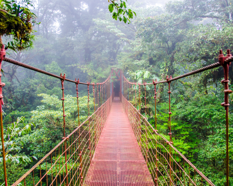 Monteverde