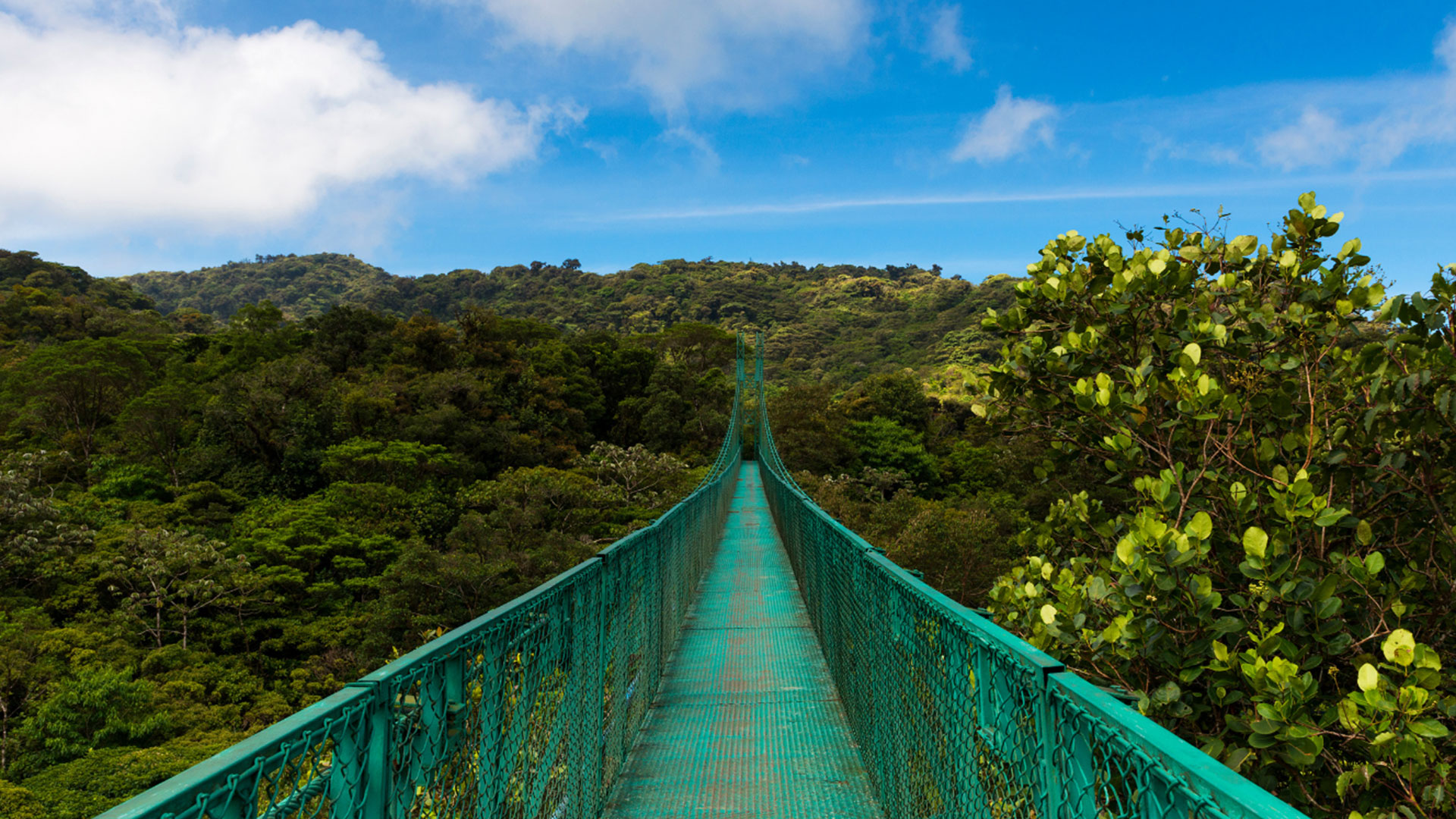 From Sky to Sea: The Volcano-to-Coast Experience in Costa Rica You’ll Never Forget
