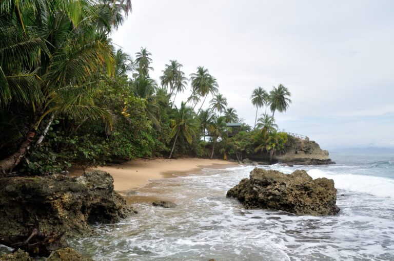caribe-sur_50215446913_o