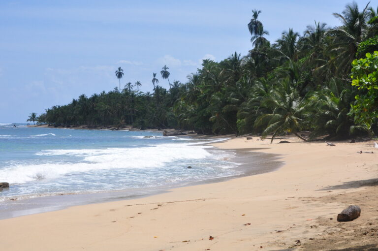 caribe-sur_50216094936_o