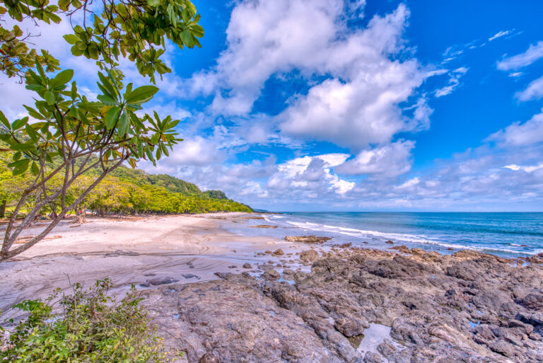 el-sano-banano-exterior_52378197535_o-768x513