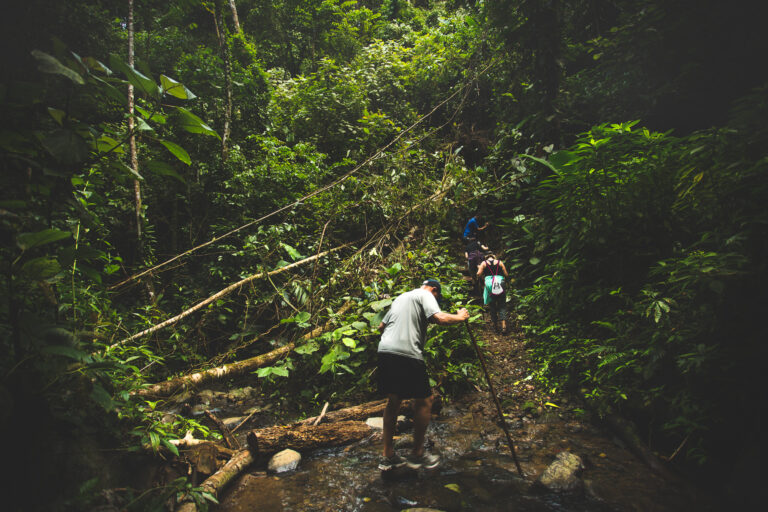 pacuare-lodge-day-break-activity-tour_53648113996_o