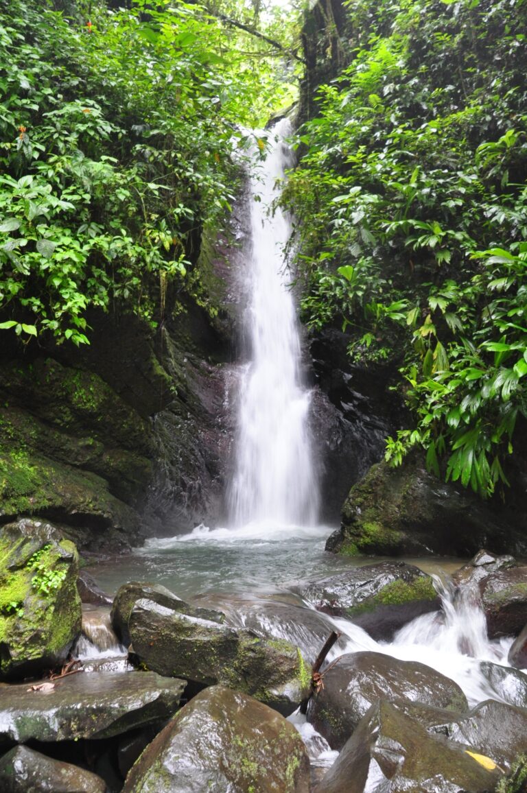 pacuare-rafting-costa-rica_23918031450_o