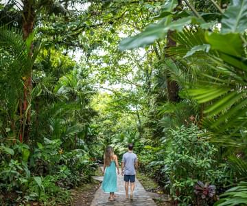 Rio Celeste Hideaway Thumbnail