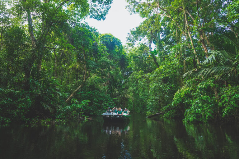 tortuga-lodge---parque-nacional-2_53646074577_o
