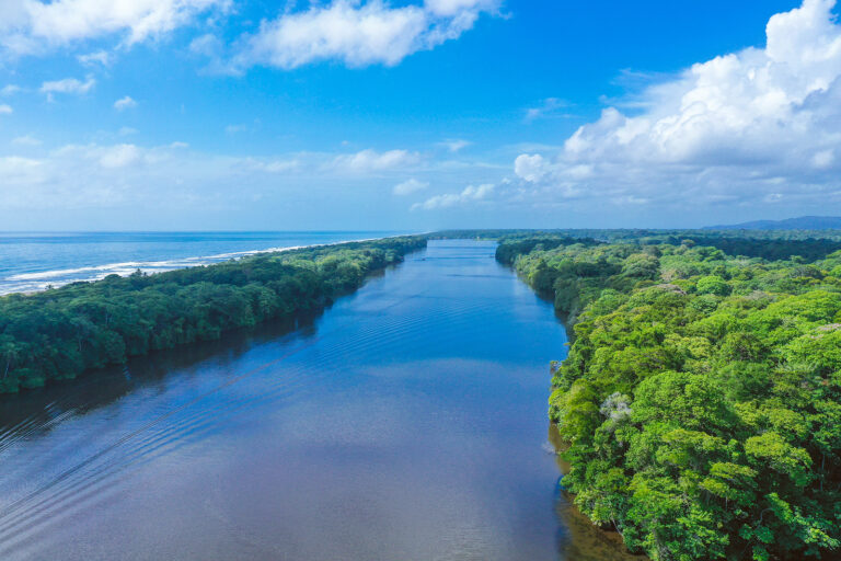 tortuguero-3_53738092213_o